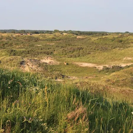 Apartman Schelpenplein Zandvoort